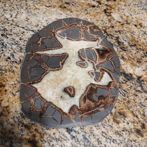 Vintage SEPTARIAN Nodule Slab Mineral With a Lightning Like Pattern - Picture 6 of 7